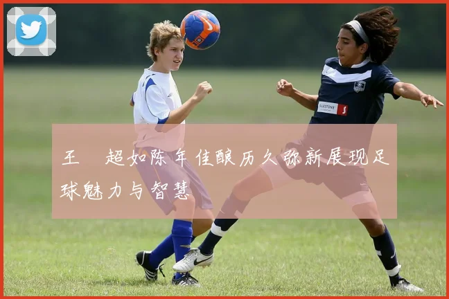 王燊超如陈年佳酿历久弥新展现足球魅力与智慧