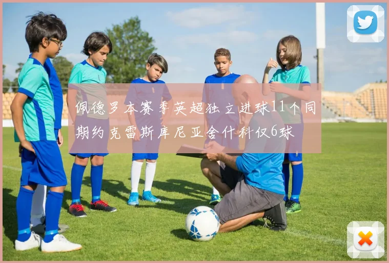 佩德罗本赛季英超独立进球11个同期约克雷斯库尼亚舍什科仅6球